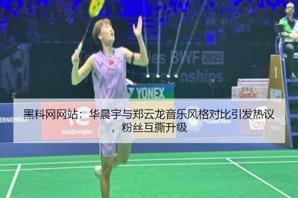 黑料网网站：华晨宇与郑云龙音乐风格对比引发热议，粉丝互撕升级